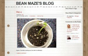 bean maze