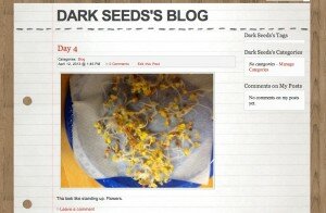 dark seeds