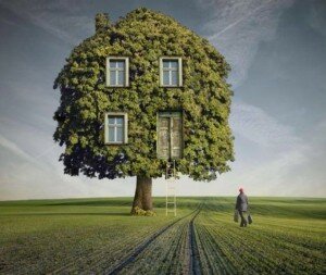 Big Write Tree House